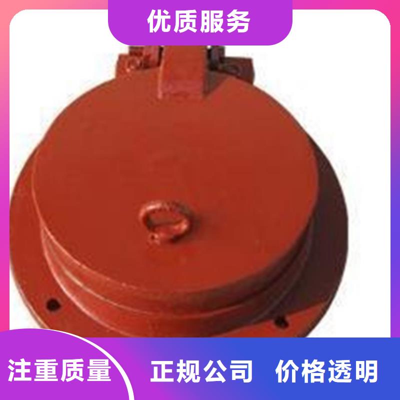 侧翻式单开拍门送货上门