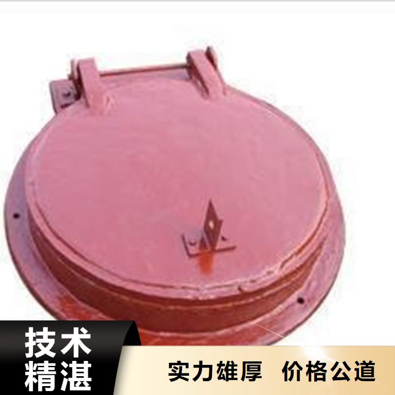 钢制拍门制造生产商