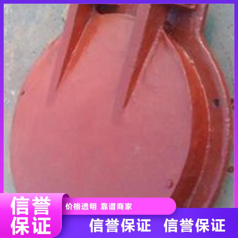 能做浮箱式拍门的厂家
