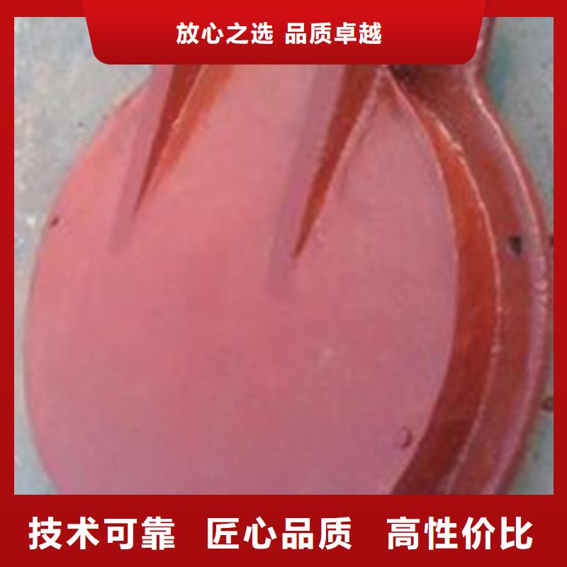 价格合理的节能型侧翻式拍门生产厂家