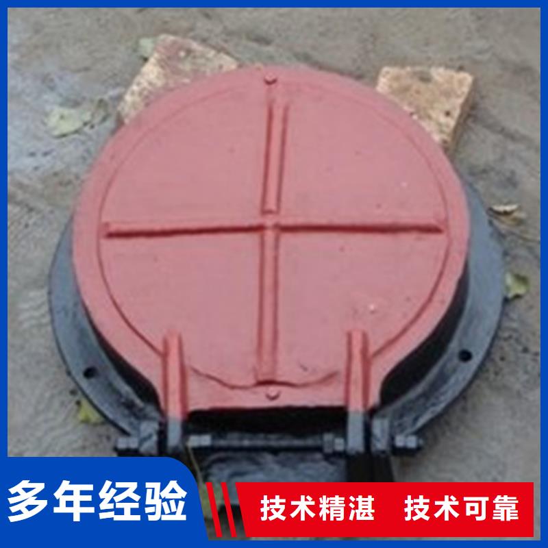 新型HDPE拍门可随时发货