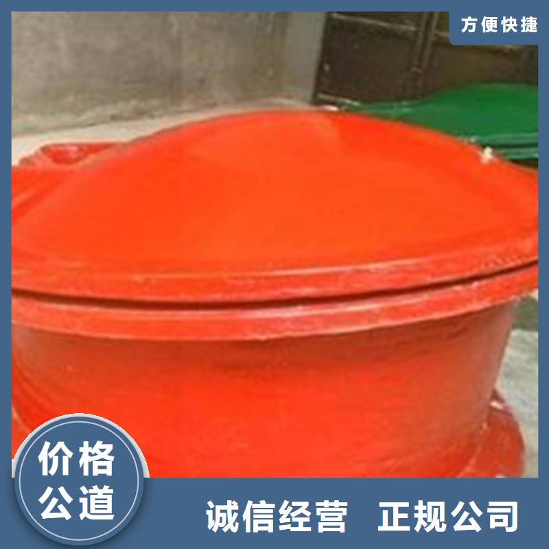控制拍门_控制拍门生产厂家|控制拍门_控制拍门定制