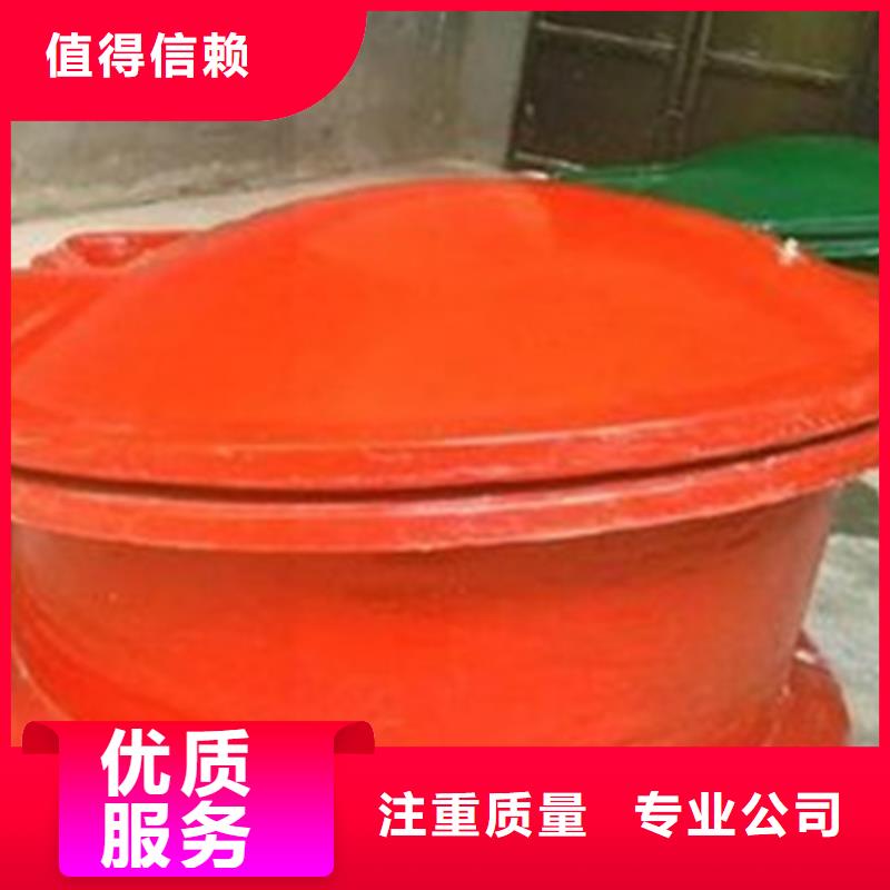 专业生产制造侧翻式单开拍门