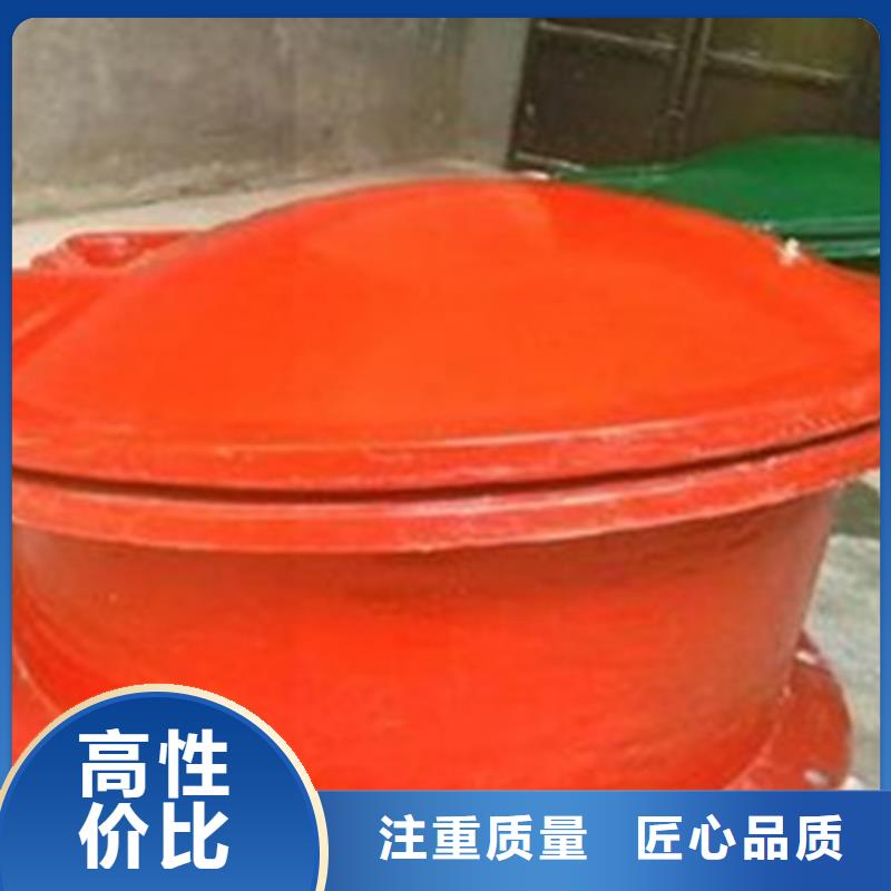 水利工程拍门-水利工程拍门可定制