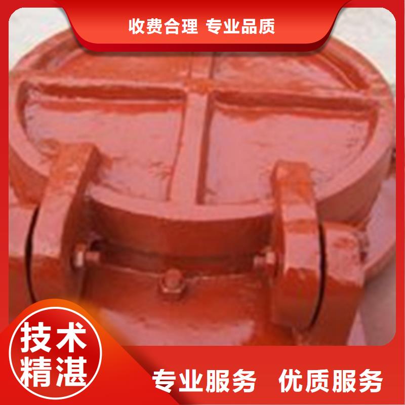 #矩形侧翻式拍门		#-价格透明