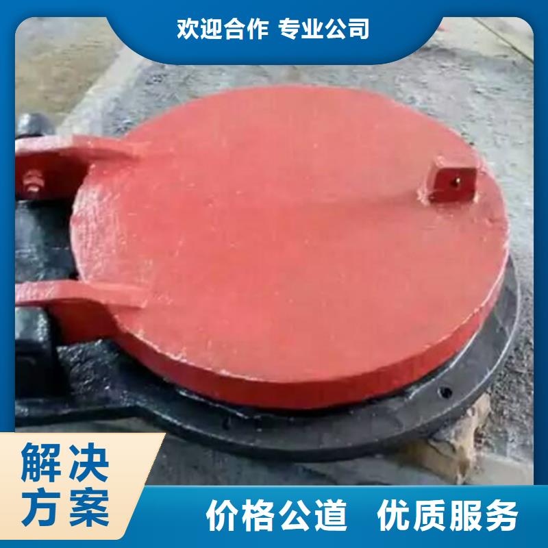 专业生产制造防倒灌拍门