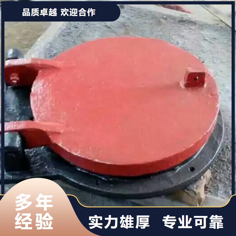 SPM双开式拍门