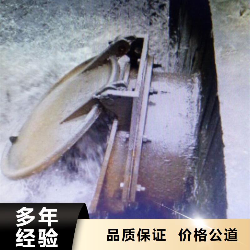 临湘县复合拍门制造生产商