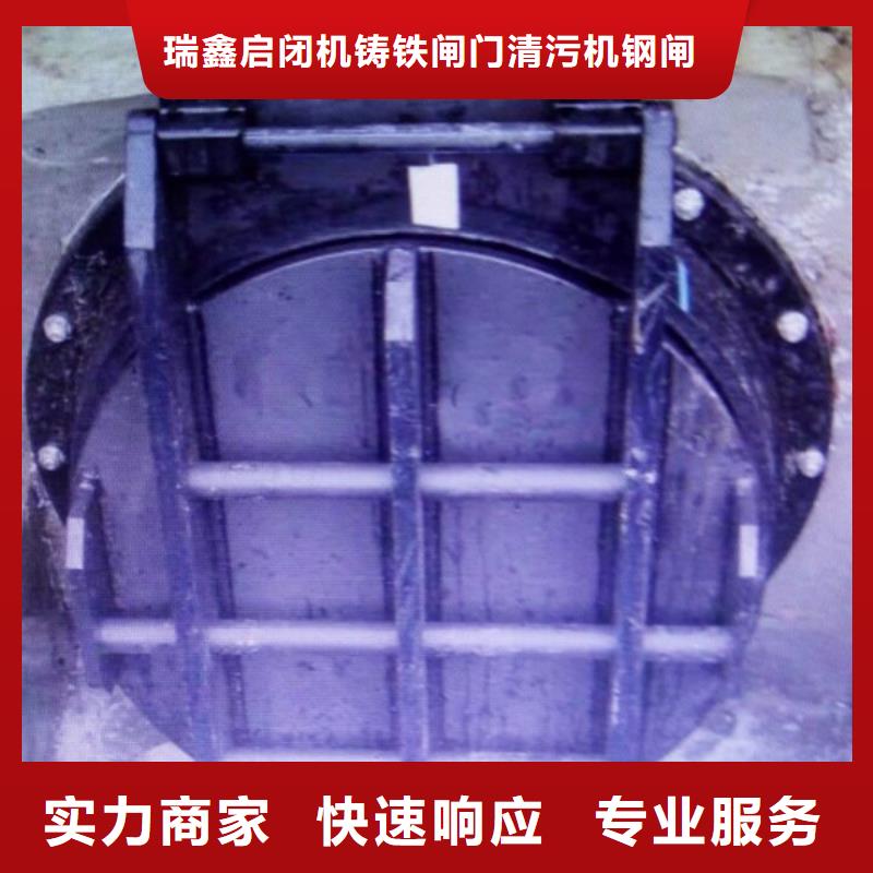 定做侧翻式单开不锈钢拍门的经销商