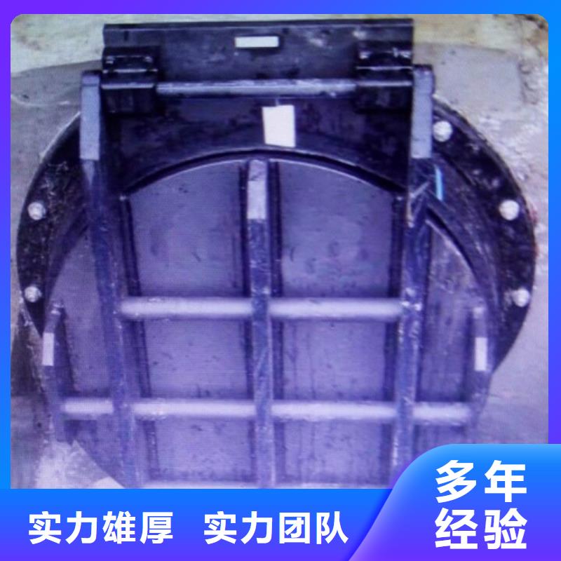 更多用户选择DN2000铸铁拍门