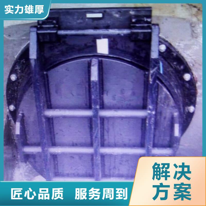止水拍门-止水拍门实体厂家
