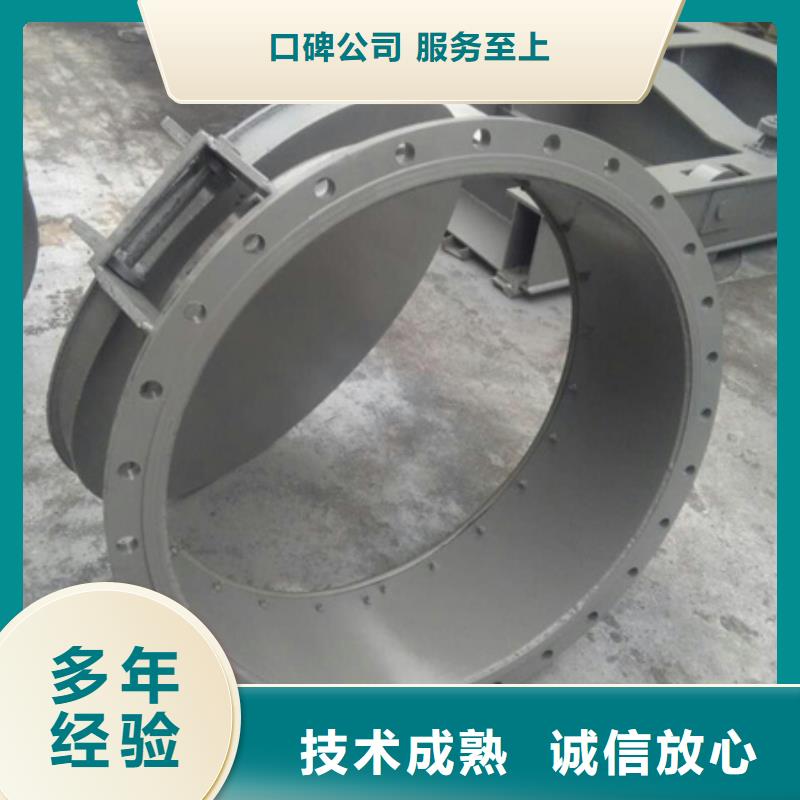 控制拍门_控制拍门生产厂家|控制拍门_控制拍门定制