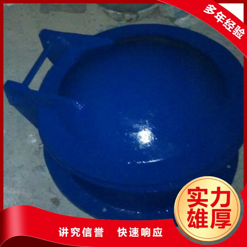 不锈钢拍门品牌