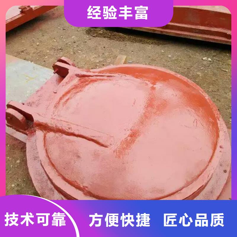 不锈钢闸门拍门厂家直销-值得信赖