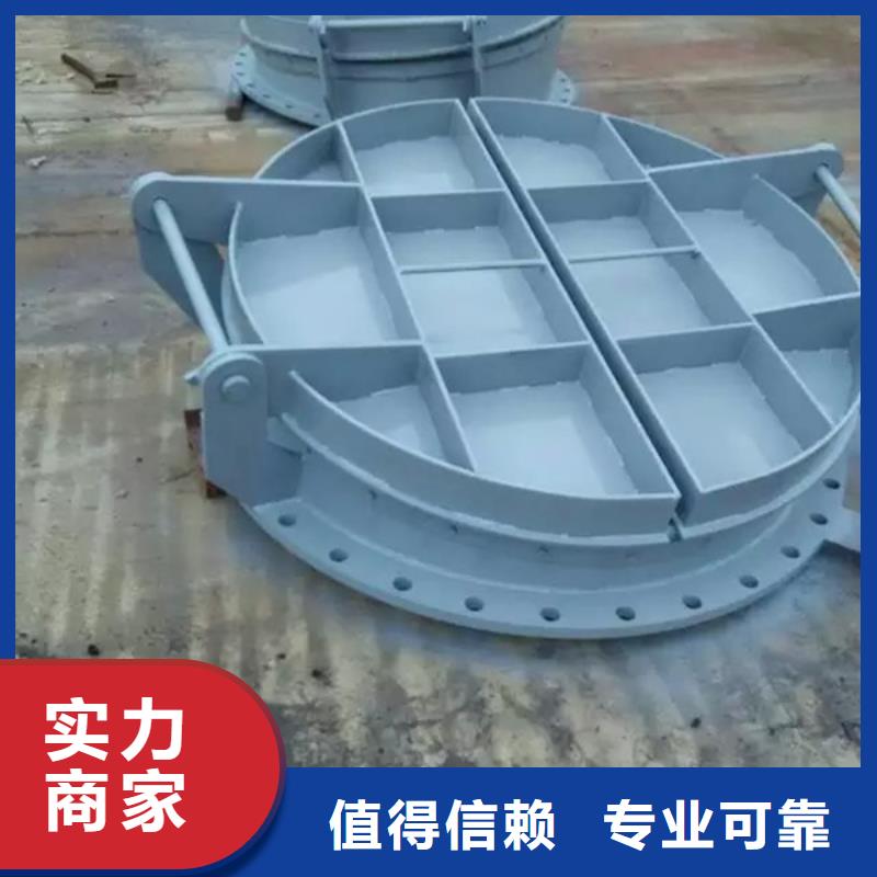 寿宁县浮箱拍门厂家价格