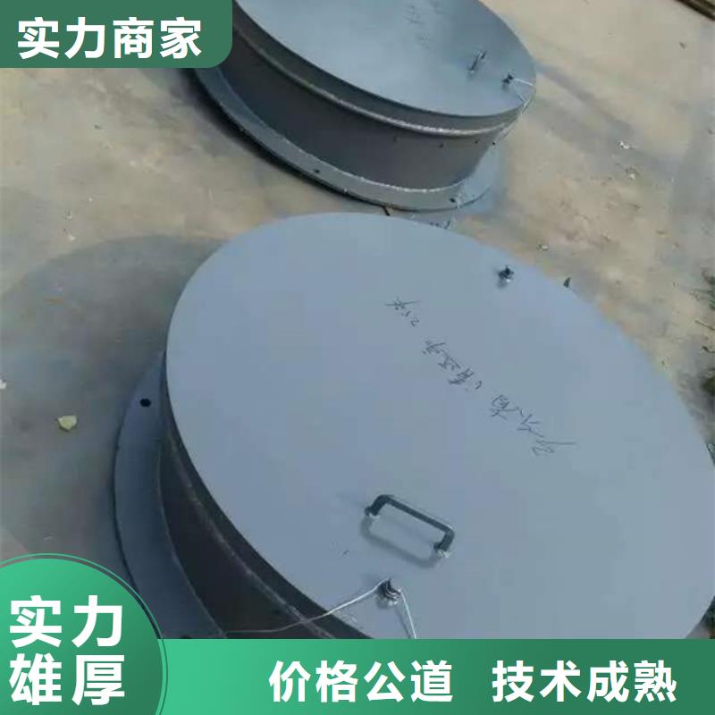 单开钢制拍门可定制厂家