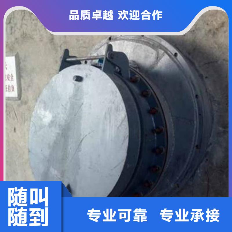 对开式拍门获取报价