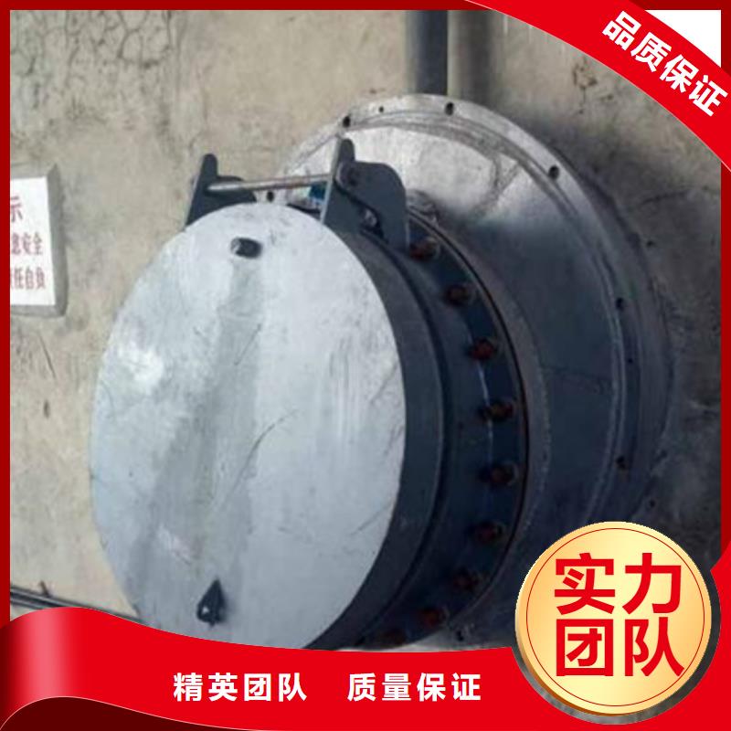 DN500法兰式钢制拍门