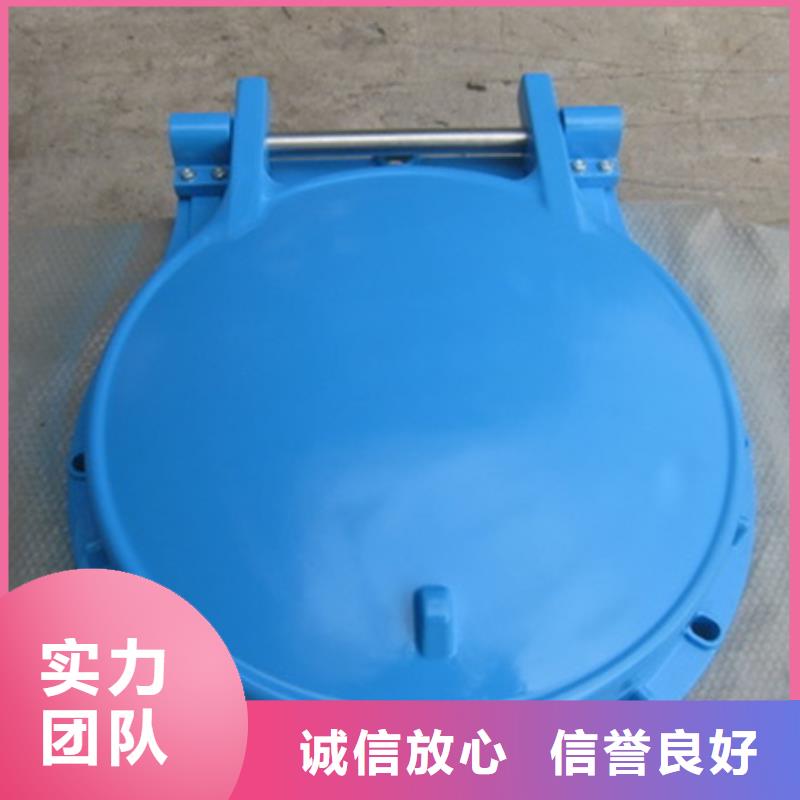 专业生产制造防倒灌拍门