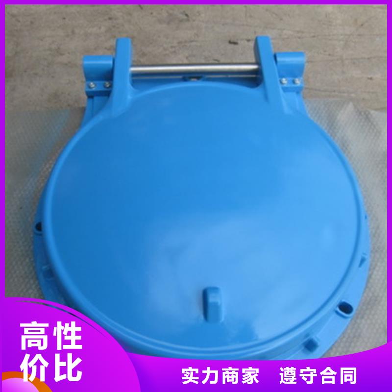 止水拍门用户喜爱厂家