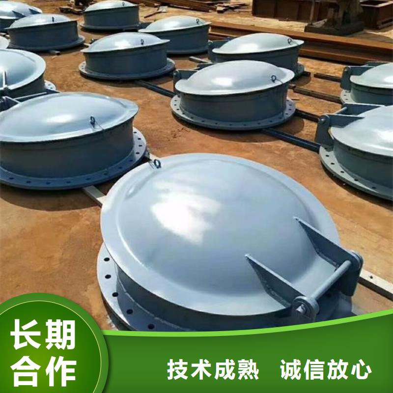 价格行情:浮箱拍门