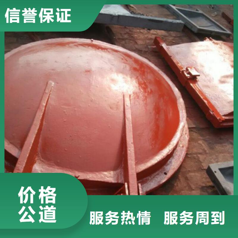 控制拍门_控制拍门生产厂家|控制拍门_控制拍门定制