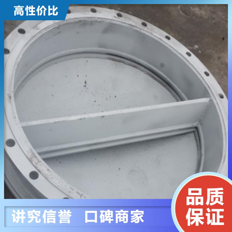 法兰式铸铁拍门_法兰式铸铁拍门厂家