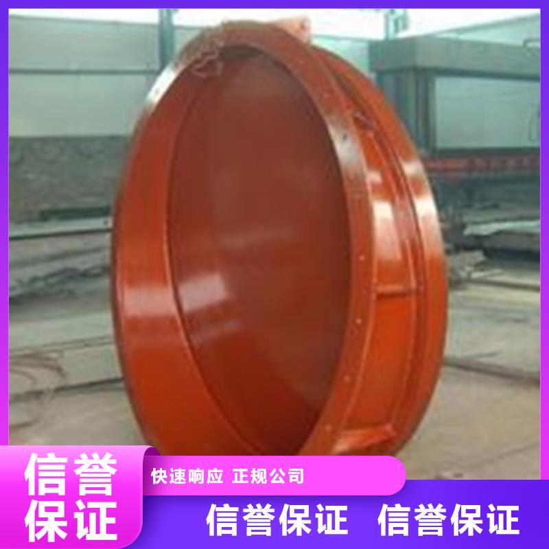 法兰式铸铁拍门_法兰式铸铁拍门厂家