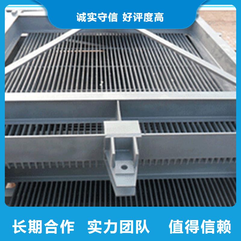 抓斗式清污机循环式机械格栅专业生产厂家