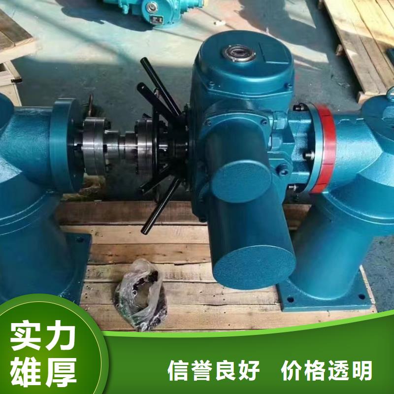 启闭机闸门带遥控螺杆式启闭机免费安装调试，终身维护！