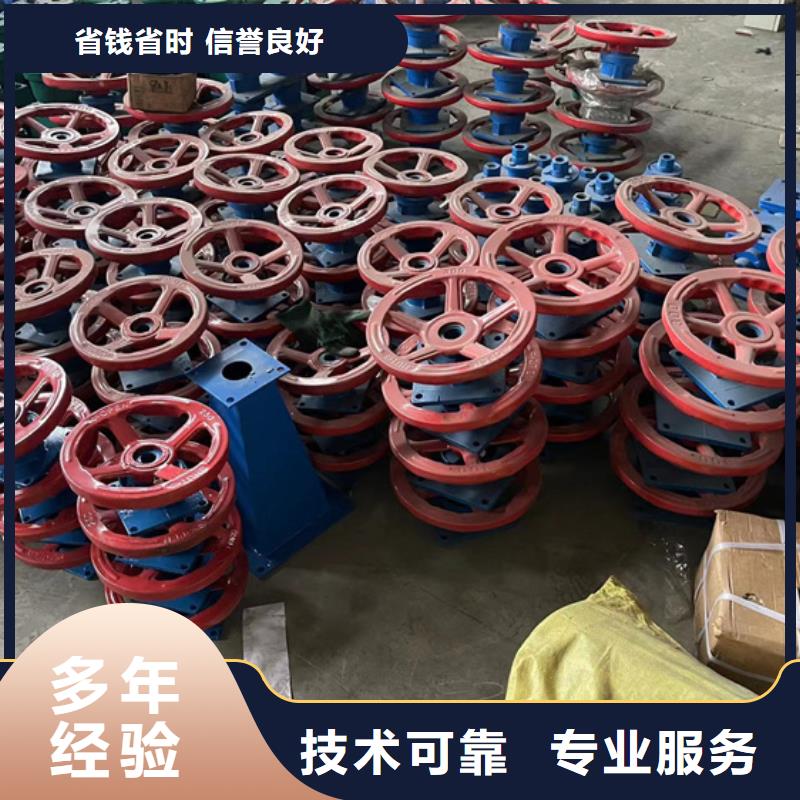 东方市支持定制的电动螺杆式启闭机公司