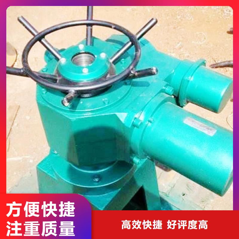 供应批发QL-SD型手电两用启闭机-靠谱