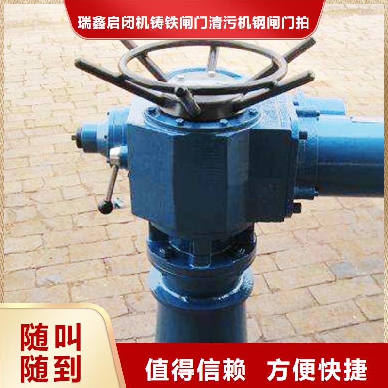 10吨手电两用启闭机订制