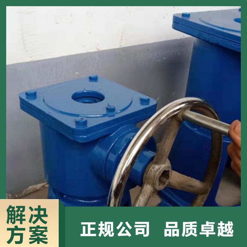 20吨启闭机实体厂家直销