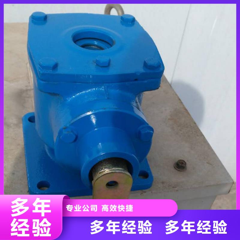 QL-SD型手电两用启闭机质量可靠
