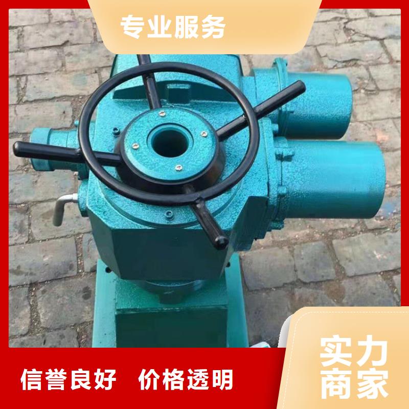 10吨手电两用启闭机免费咨询