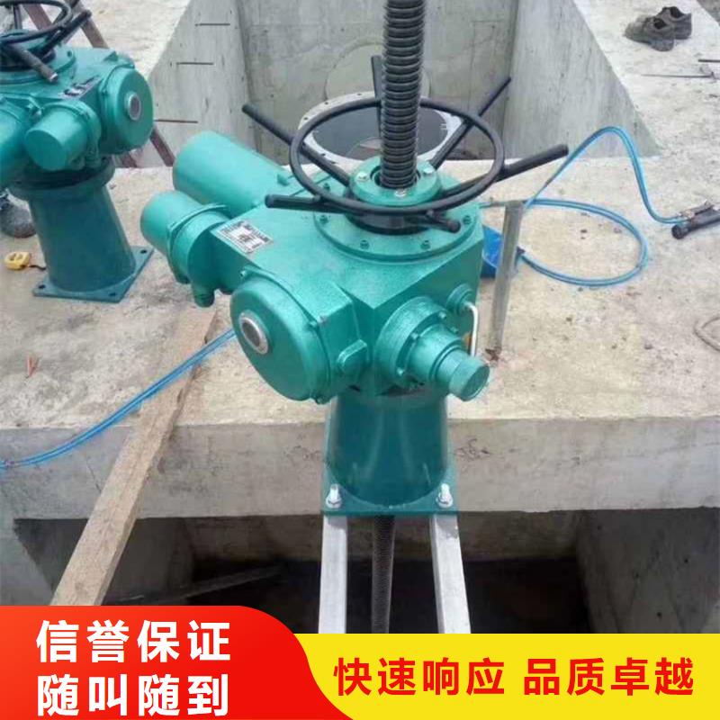 卷扬启闭机保亭县手电两用螺杆启闭机生产基地