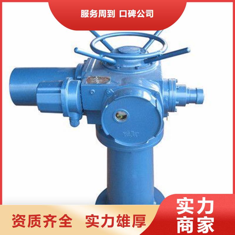 卷扬启闭机双吊点手电两用启闭机打造智能化水利工程