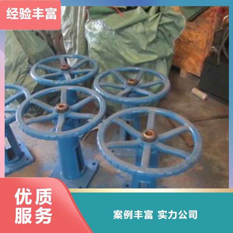 成安县10吨启闭机适用范围广