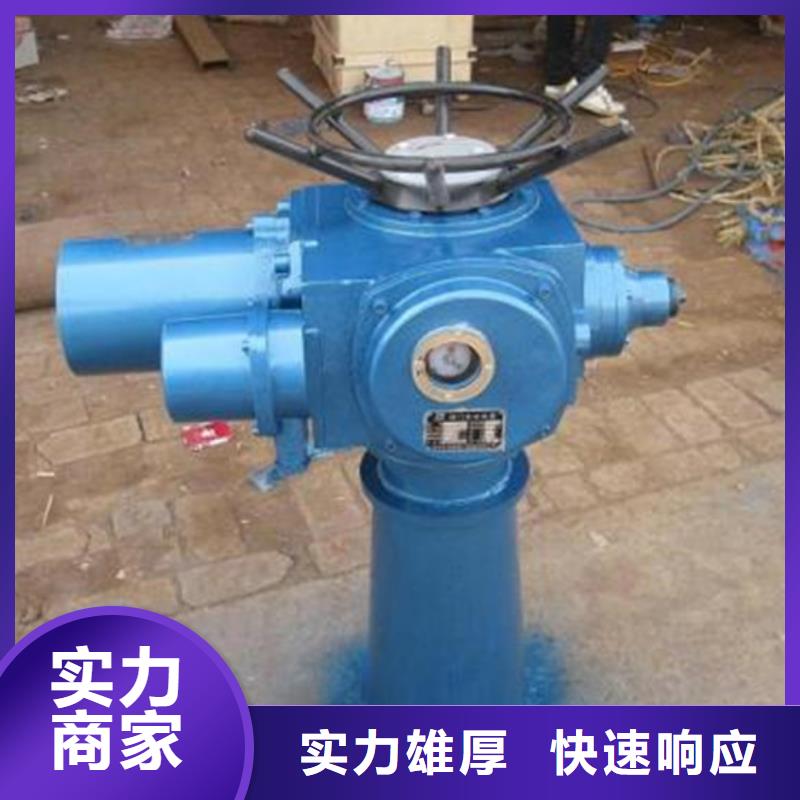 卷扬启闭机手电两用螺杆启闭机打造智能化水利工程