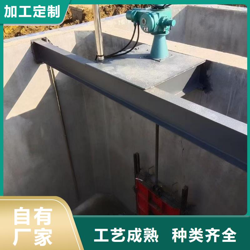 铸铁闸门启闭机行情报价