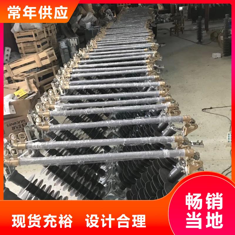 高压熔断器/RW12-10F/100A