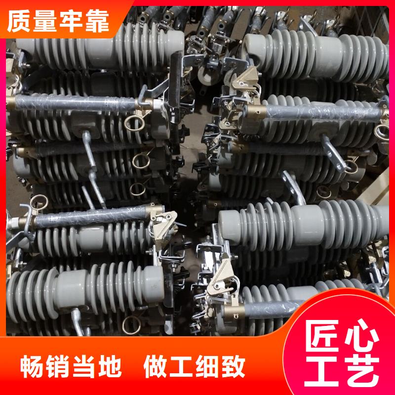 跌落式熔断器HPRW12-24/100A