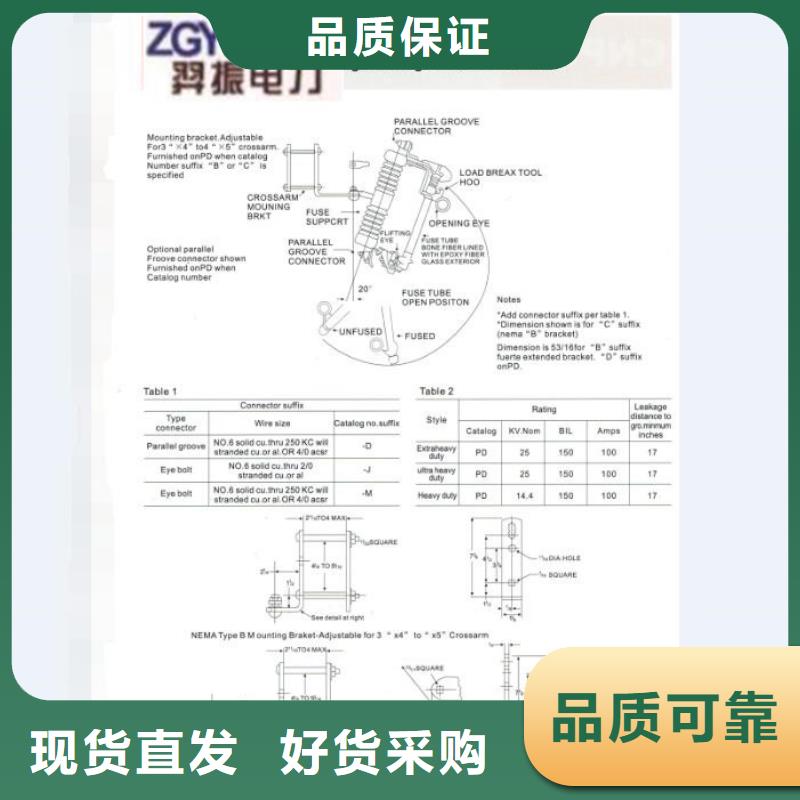 跌落式熔断器HPRW12-24/100A