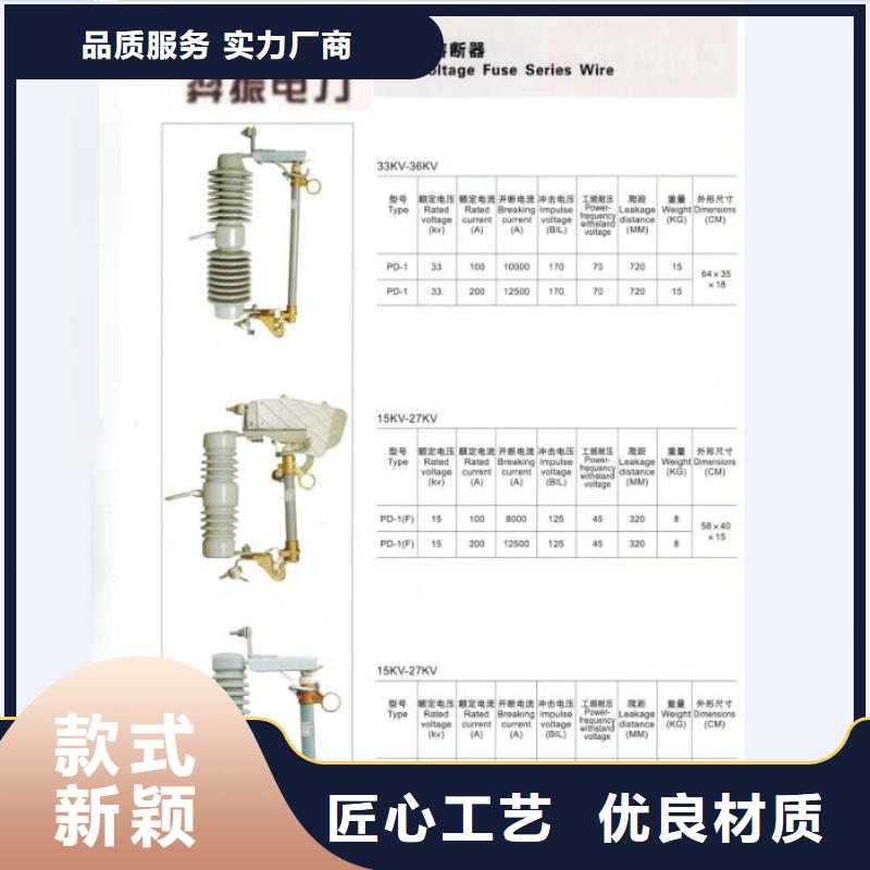 高压熔断器/HGYF1-12/200