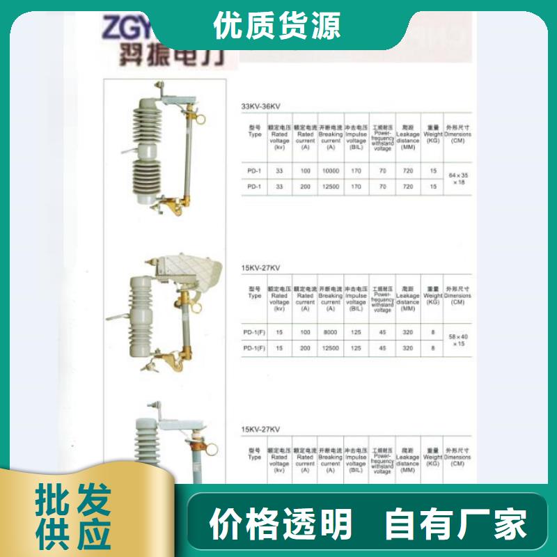 户外高压跌落式熔断器熔丝具RW12-10/100