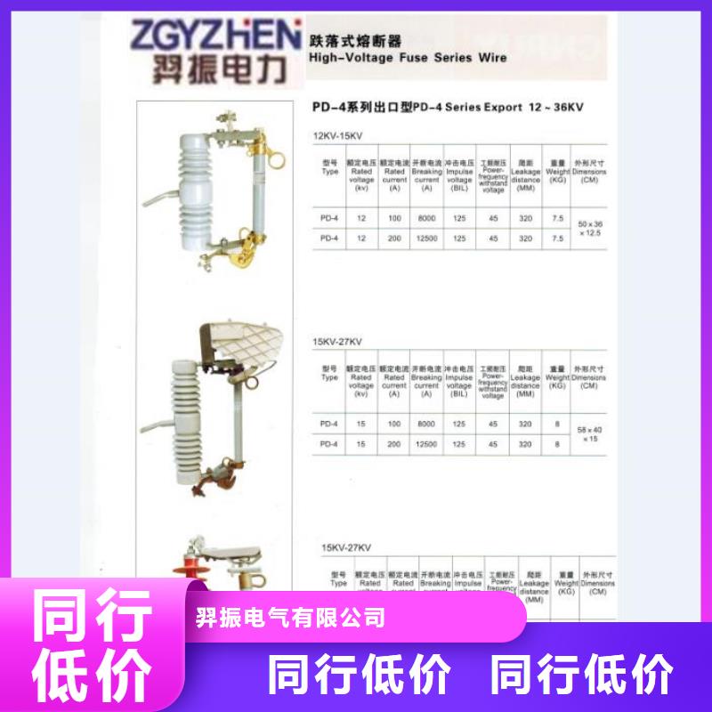 【高压熔断器】PRW12-12/100A