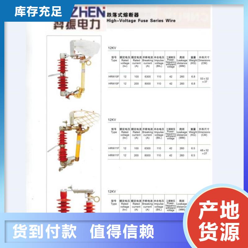 跌落式熔断器HPRW12-24/100A