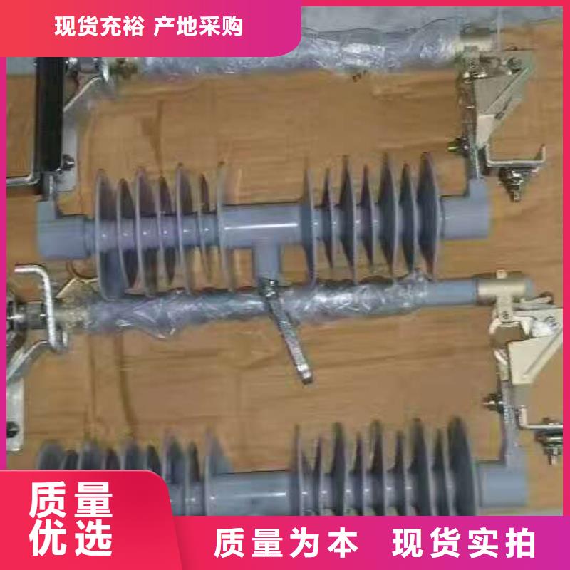 【跌落式开关】PRW12-10/100A