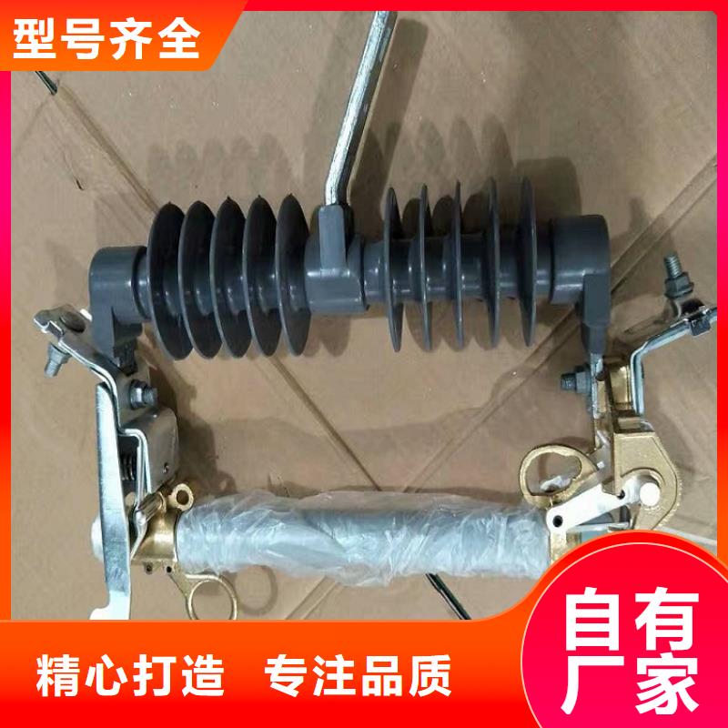 【跌落式开关】PRW12-10/100A